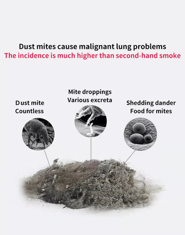 🎁 Today Offer, Save 75% - DEEP VACUUM DUST & MITE REMOVAL